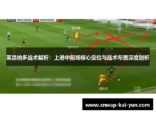 莱昂纳多战术解析：上港中前场核心定位与战术布置深度剖析